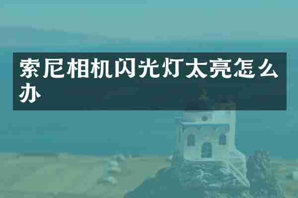 相机闪光灯太亮怎么办