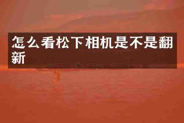 怎么看相机是不是翻新