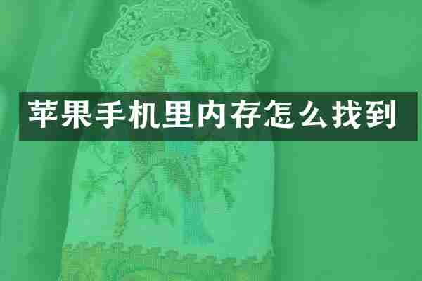 苹果手机里内存怎么找到