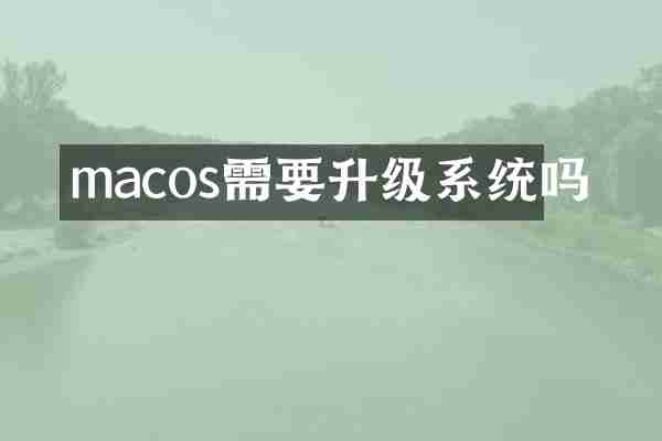 macos需要升级系统吗