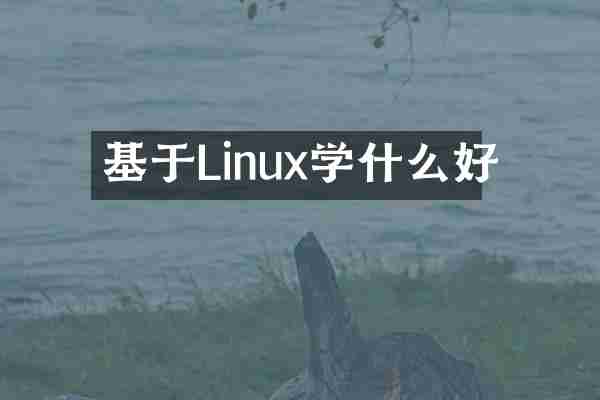 基于Linux学什么好