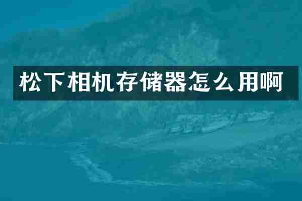 相机存储器怎么用啊
