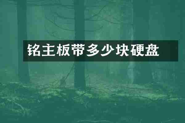 铭瑄主板带多少块硬盘