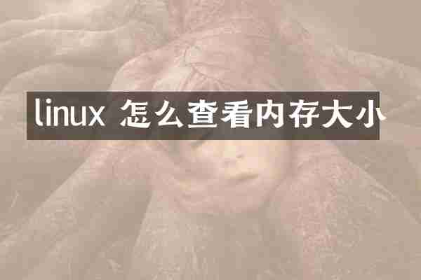 linux 怎么查看内存大小