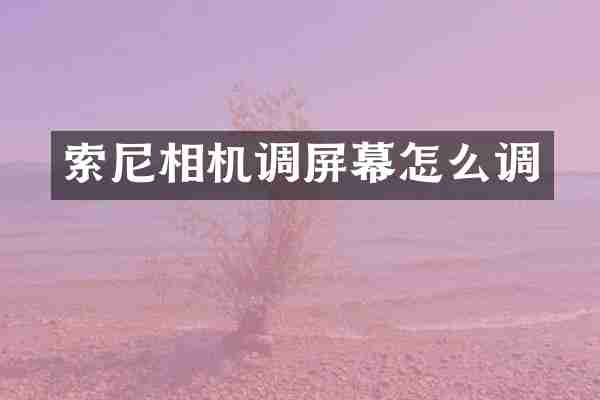 相机调屏幕怎么调