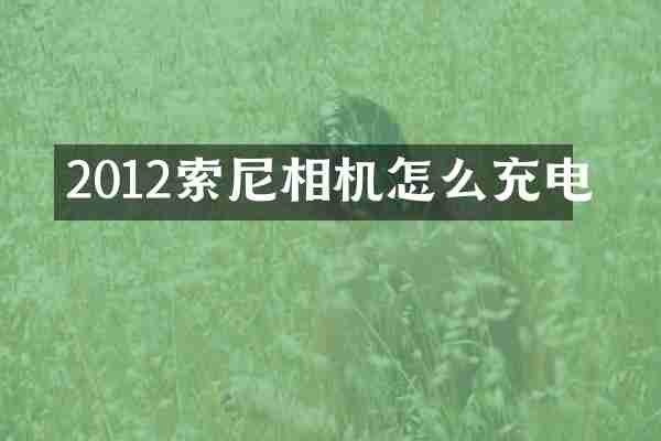 2012相机怎么充电