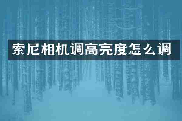 相机调高亮度怎么调