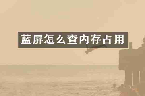 蓝屏怎么查内存占用