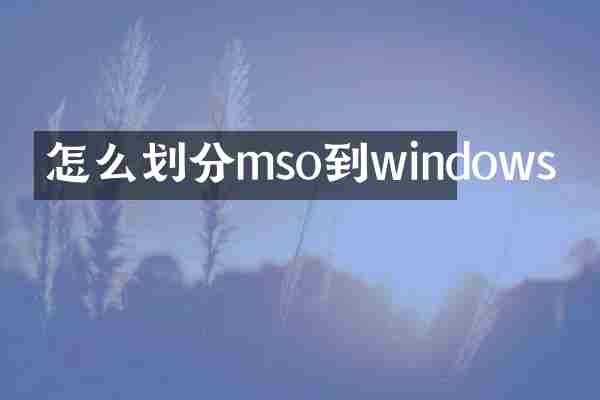 怎么划分mso到windows