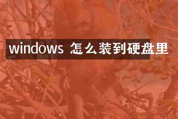 windows 怎么装到硬盘里