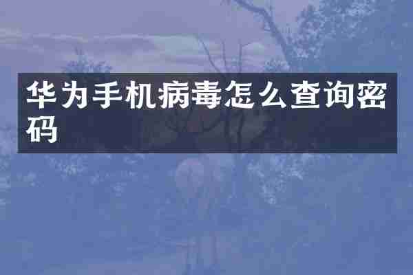 华为手机病毒怎么查询密码