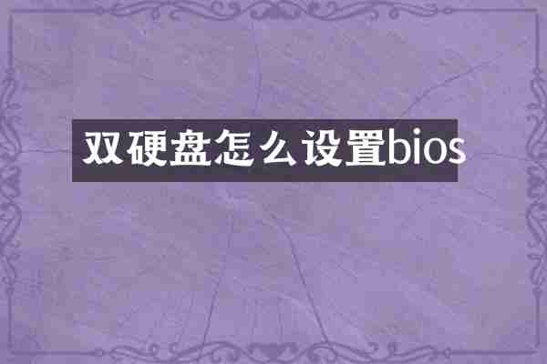 双硬盘怎么设置bios