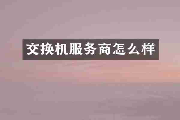 交换机服务商怎么样