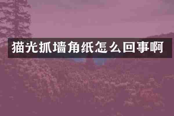 猫光抓墙角纸怎么回事啊