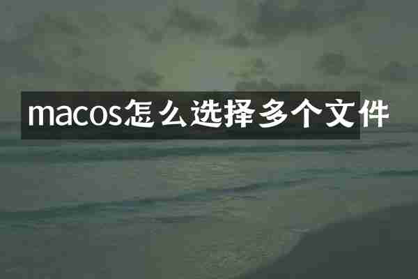 macos怎么选择多个文件