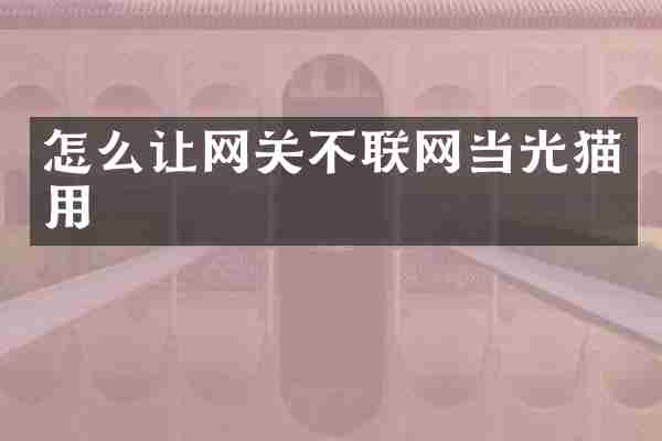 怎么让网关不联网当光猫用