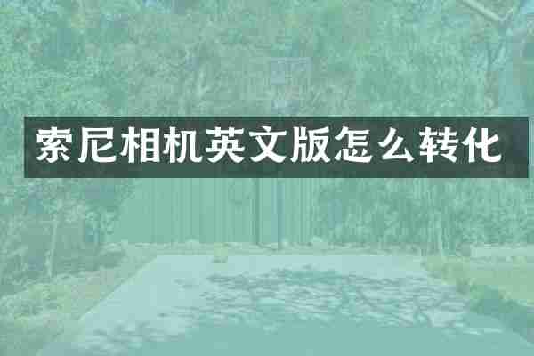 索尼相机英文版怎么转化