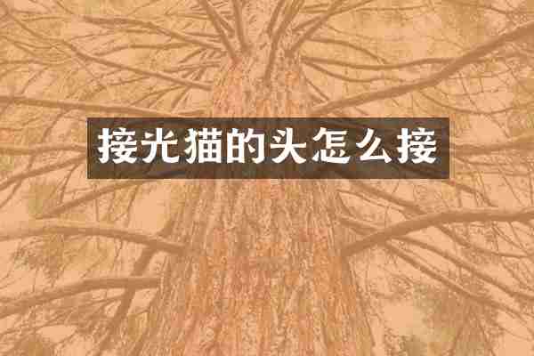 接光猫的头怎么接