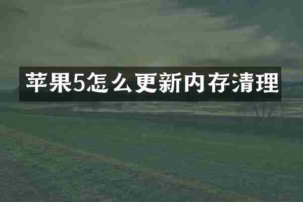 苹果5怎么更新内存清理
