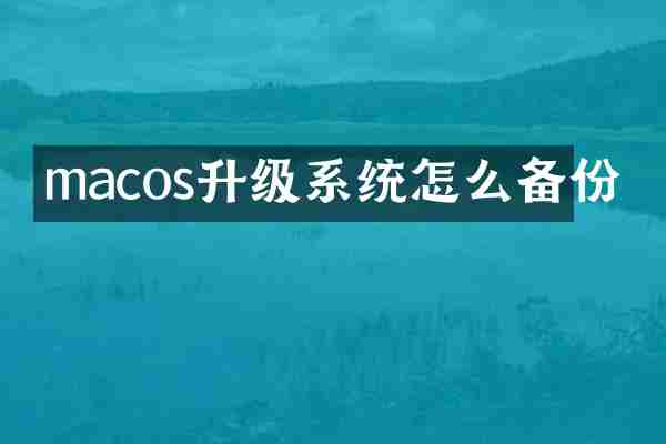 macos升级系统怎么备份