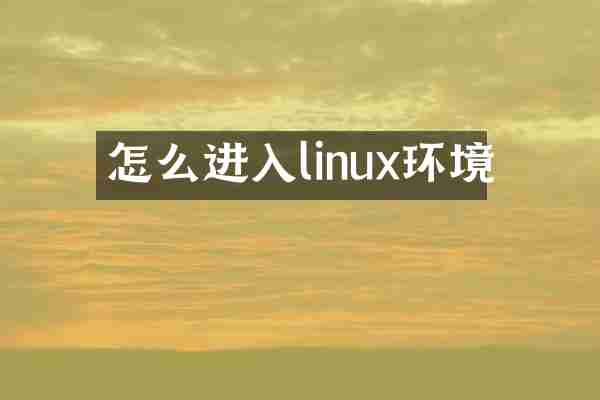 怎么进入linux环境