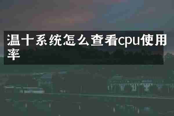 温十系统怎么查看cpu使用率