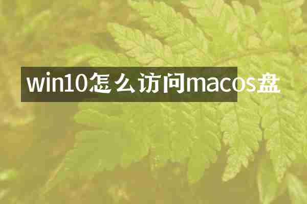 win10怎么访问macos盘