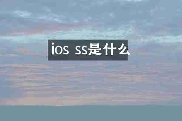 ios ss是什么