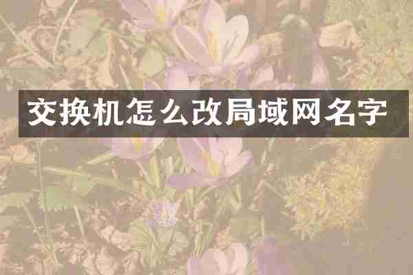 交换机怎么改局域网名字