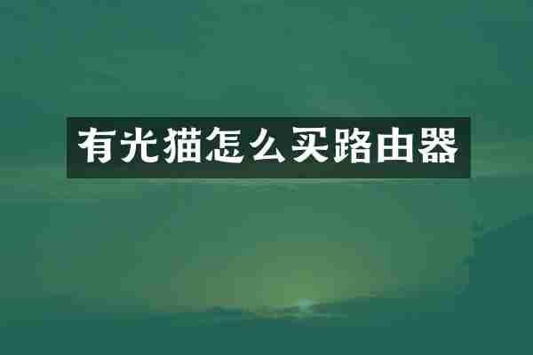 有光猫怎么买路由器
