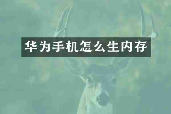 华为手机怎么生内存