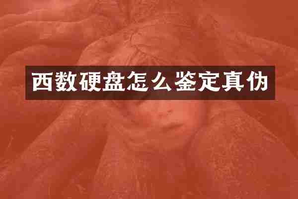 西数硬盘怎么鉴定真伪