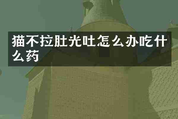 猫不拉肚光吐怎么办吃什么药