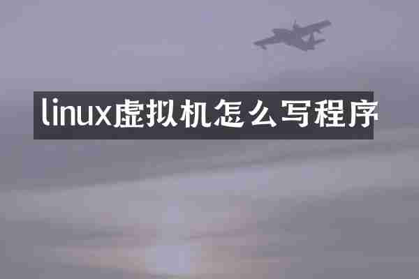 linux虚拟机怎么写程序