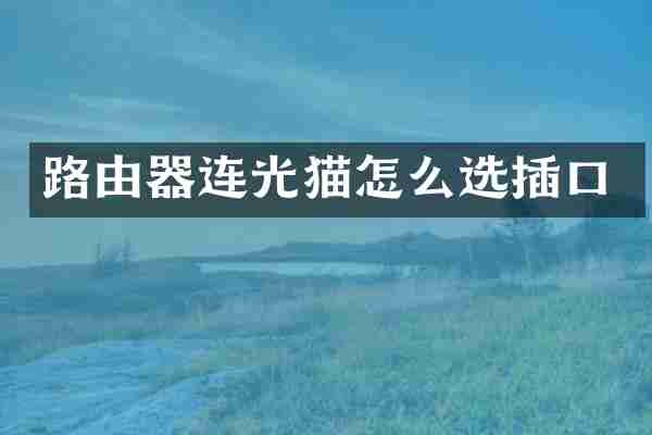 路由器连光猫怎么选插口