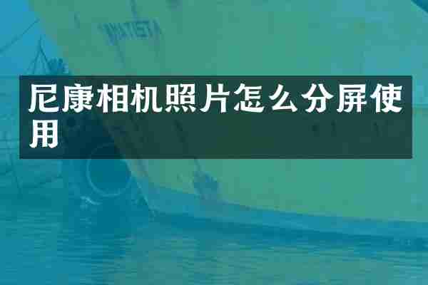 尼康相机照片怎么分屏使用