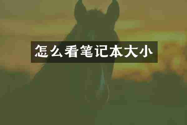 怎么看笔记本大小