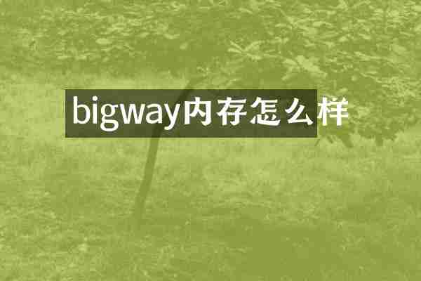 bigway内存怎么样