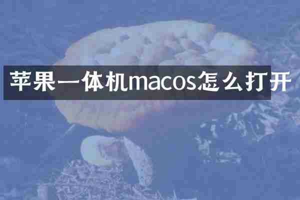 苹果一体机macos怎么打开