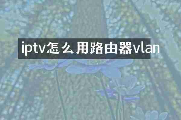 iptv怎么用路由器vlan