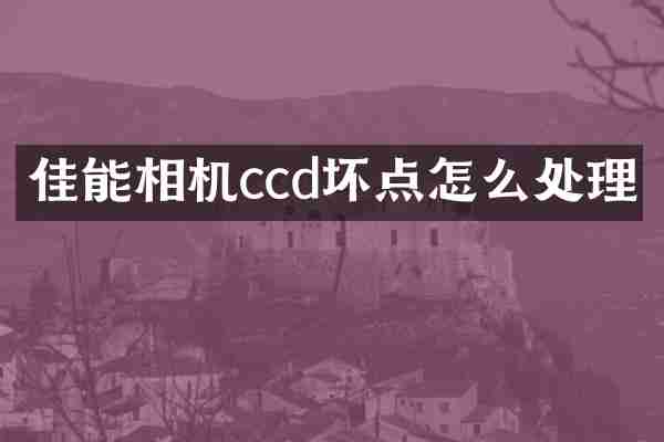 佳能相机ccd坏点怎么处理