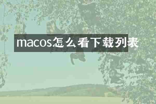 macos怎么看下载列表
