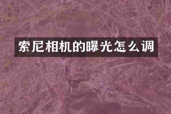 相机的曝光怎么调