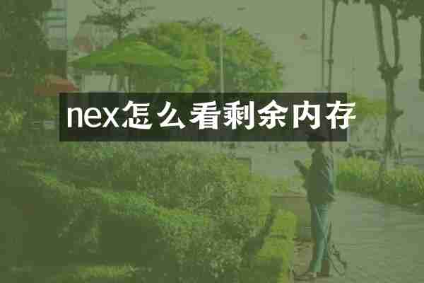 nex怎么看剩余内存