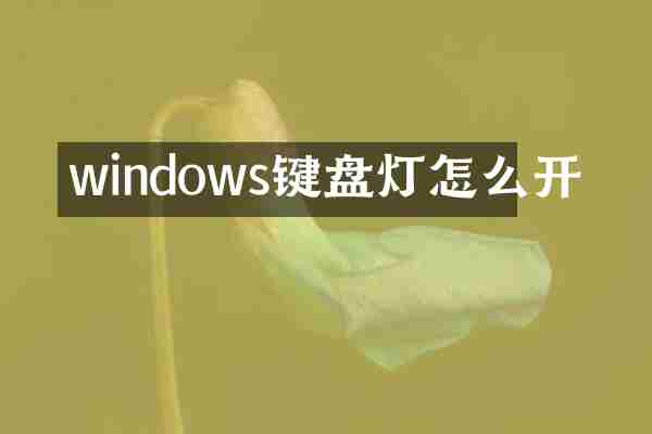 windows键盘灯怎么开