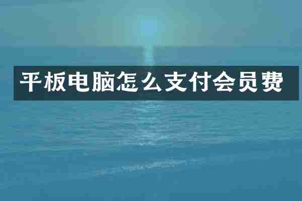 平板电脑怎么支付会员费