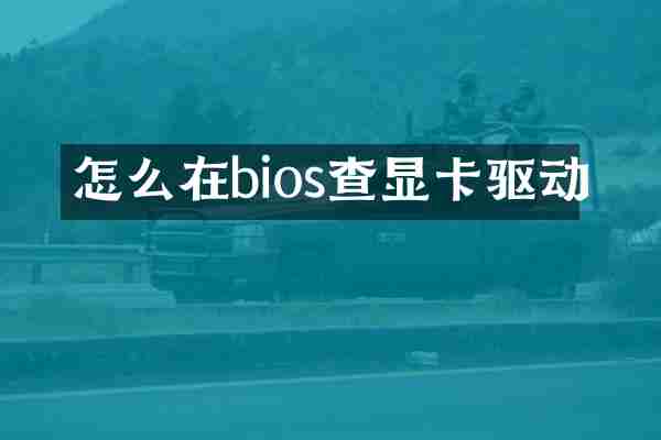 怎么在bios查显卡驱动