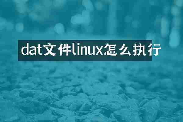 dat文件linux怎么执行