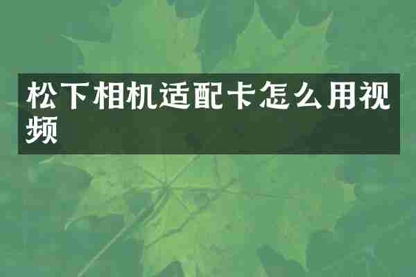 相机适配卡怎么用视频
