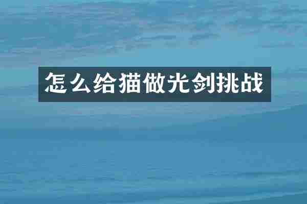 怎么给猫做光剑挑战